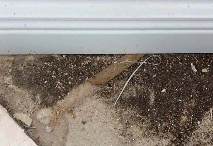 Photo of dirt inside house brought there by ants seeking to build a mound