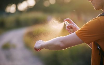 Mosquitoes in Port St. Lucie, Florida: Best Ways to Mitigate Them