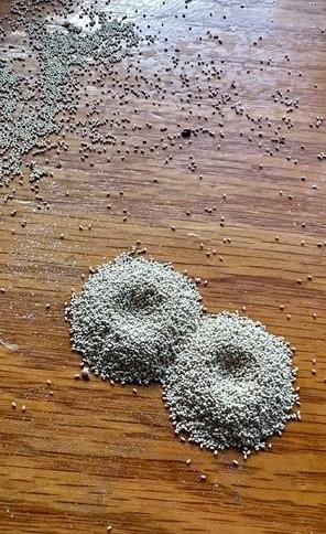 Step 1: Look Closely at the Material. Drywood Termite Pellets
