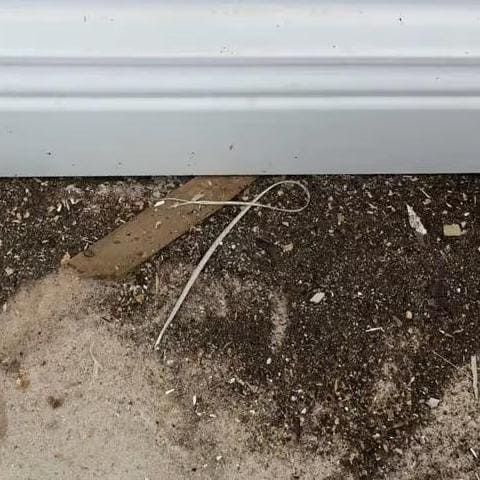 Notice the mix of various materials. This is a telltale sign of ants and not seen with termites