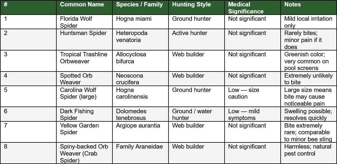 Quick Reference: Common Spiders of Port St Lucie & Palm City, Florida